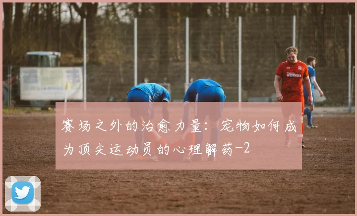 赛场之外的治愈力量：宠物如何成为顶尖运动员的心理解药