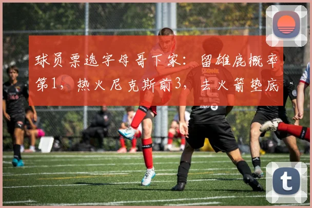 球员票选字母哥下家：留雄鹿概率第1，热火尼克斯前3，去火箭垫底