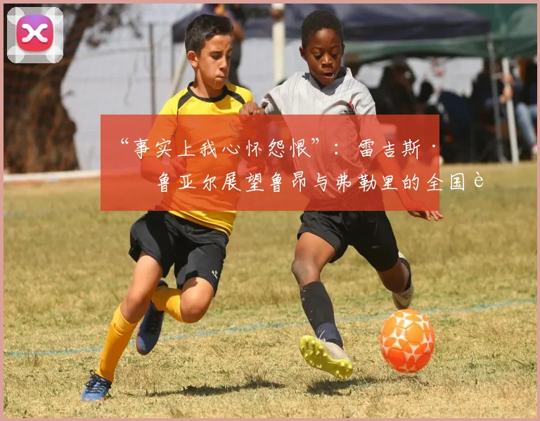 “事实上我心怀怨恨”：雷吉斯·布鲁亚尔展望鲁昂与弗勒里的全国联赛最后一战